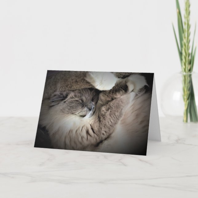 Jours lents, carte (Devant)