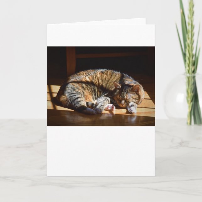 Jours lents, carte (Devant)