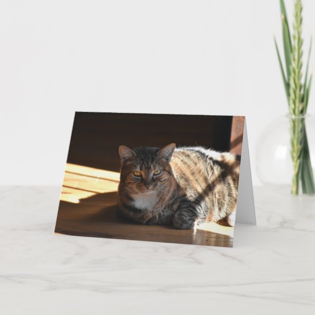 Jours lents, carte (Devant)