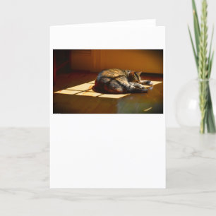 Jours lents, carte
