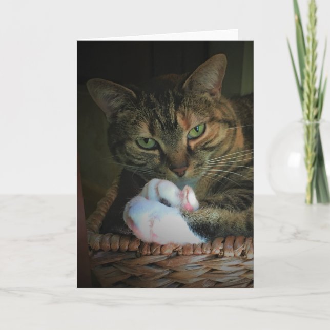 Jours lents, carte (Devant)