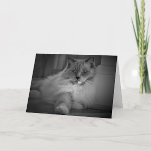 Jours lents, carte
