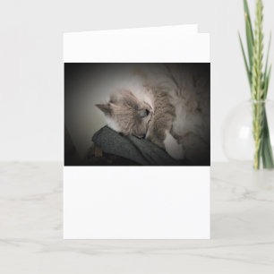 Jours lents, carte