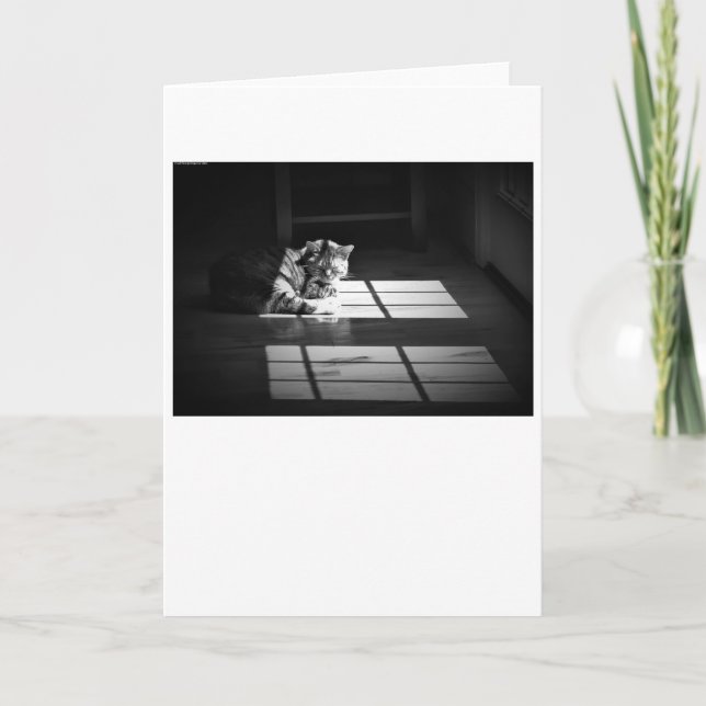 Jours lents, carte (Devant)