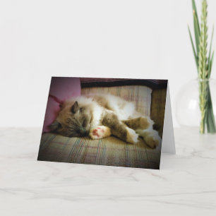 Jours lents, carte