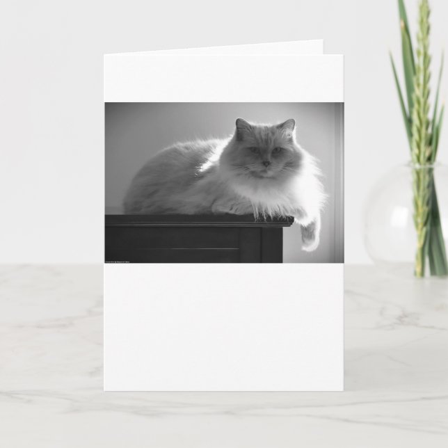 Jours lents, carte (Devant)