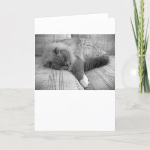 Jours lents, carte