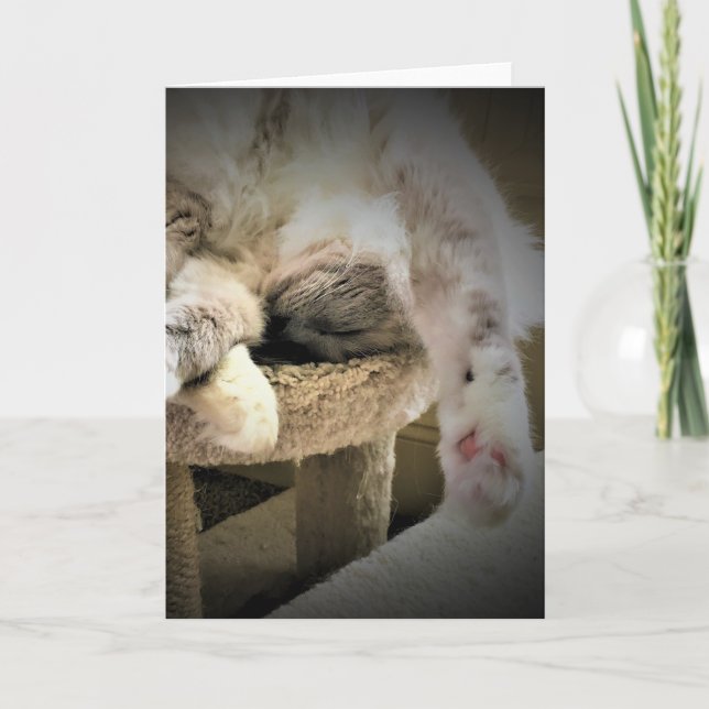 Jours lents, carte (Devant)