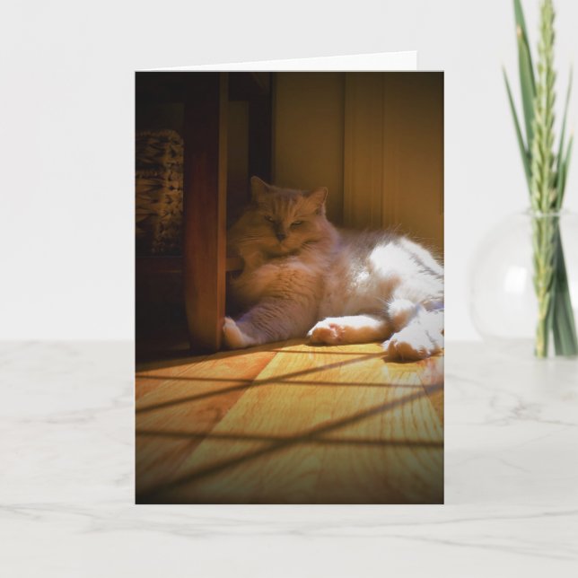 Jours lents, carte (Devant)