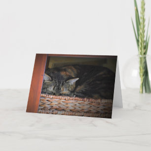 Jours lents, carte