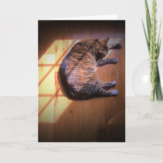 Jours lents, carte (Devant)