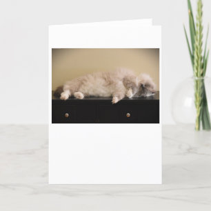 Jours lents, carte