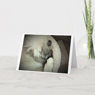 Jours lents, carte