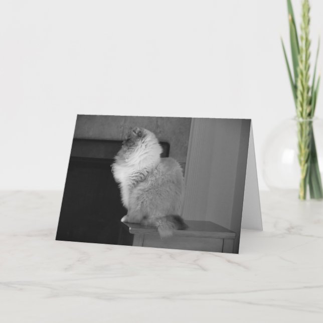 Jours lents, carte (Devant)