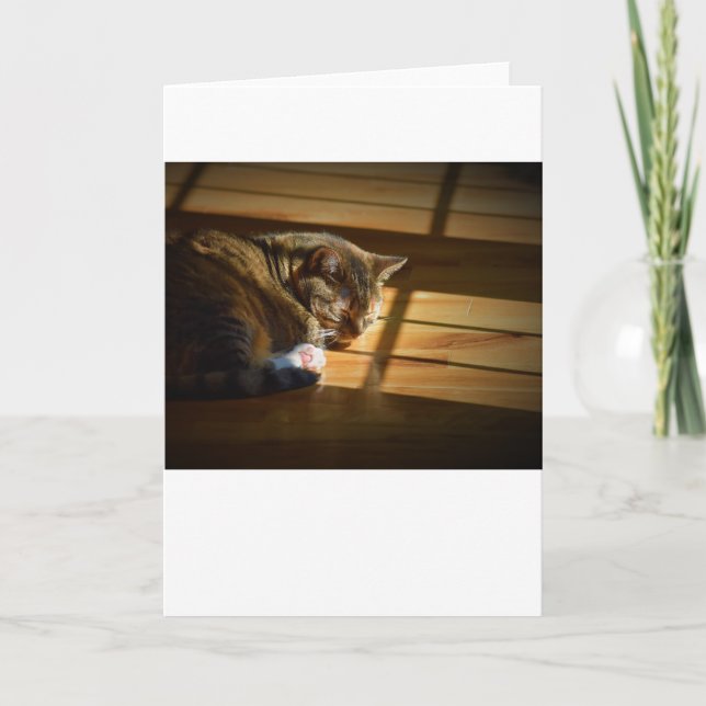 Jours lents, carte (Devant)