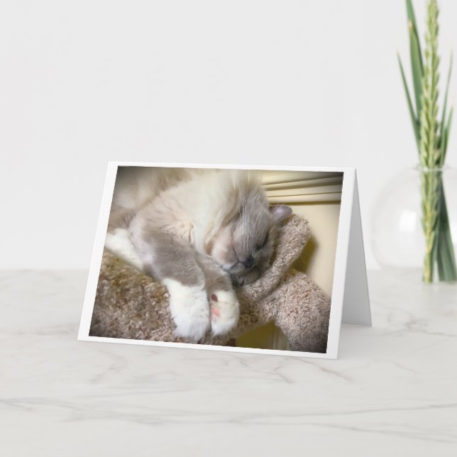 Jours lents, carte (Devant)