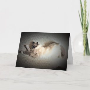 Jours lents, carte