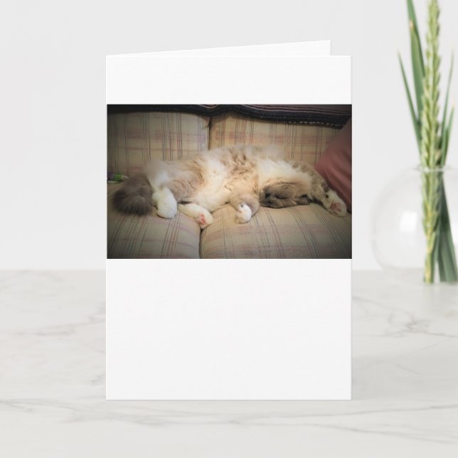 Jours lents, carte (Devant)