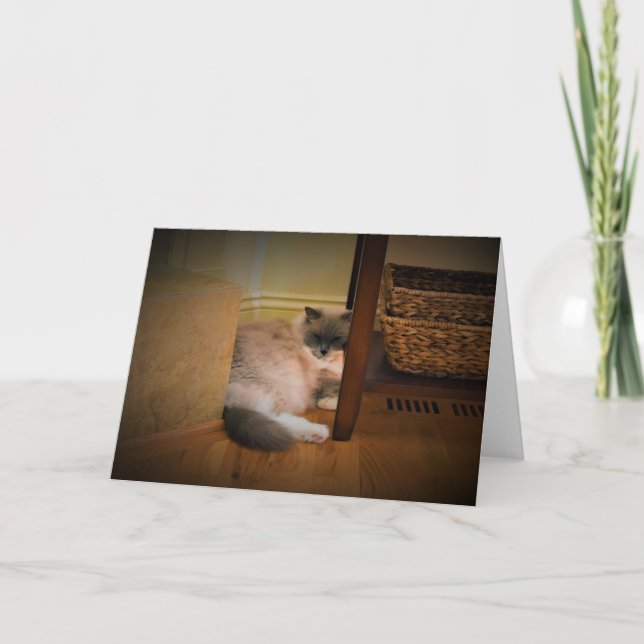 Jours lents, carte (Devant)