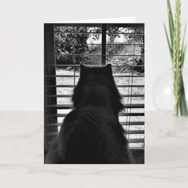 Jours lents, carte (Devant)