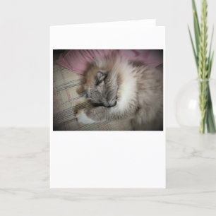 Jours lents, carte