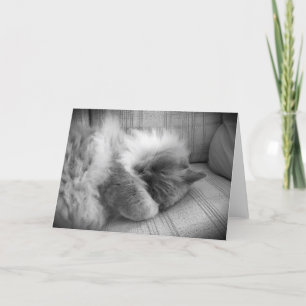 Jours lents, carte