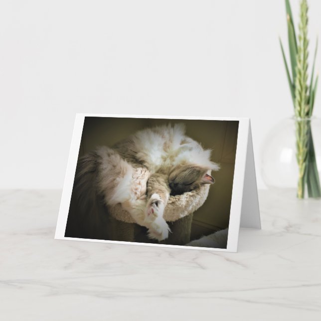 Jours lents, carte (Devant)