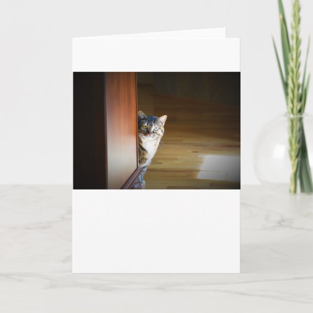 Jours lents, carte (Devant)