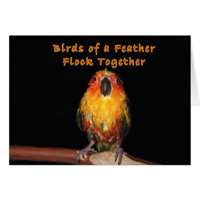 Jours pluvieux (Devant horizontal)