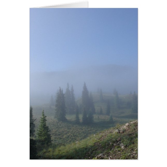 Jours rêveurs (Devant)