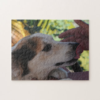 Jovely Dog - Jouer avec son propriétaire Puzzle ph