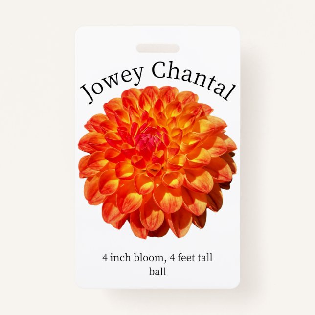 Jowey Chantal Dahlia ID Abzeichen Ausweis (Vorderseite)