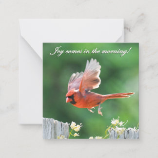 Joy arrive dans le Carte pour notes du matin