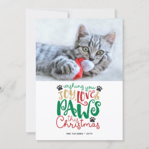 Joy Liebe Paws Pet Cat Weihnachten Foto