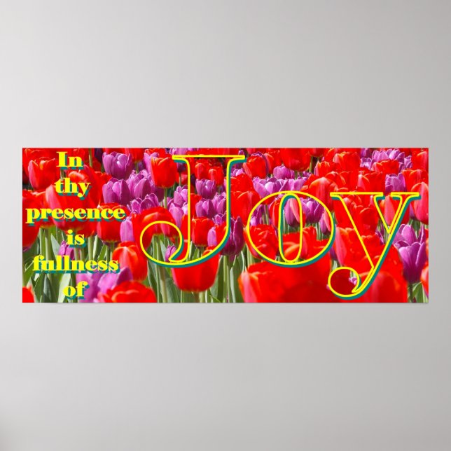 Joy Poster (Vorne)