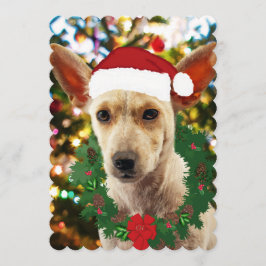 Joy to the Puppy