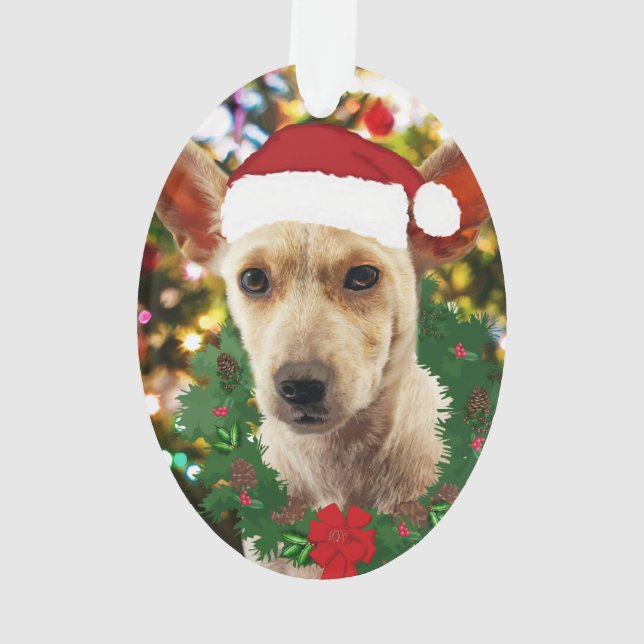 Joy to the Puppy Ornament (Rückseite)