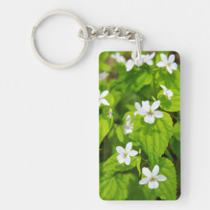 Joyce Kilmer-Slickrock-Wildnis Schlüsselanhänger