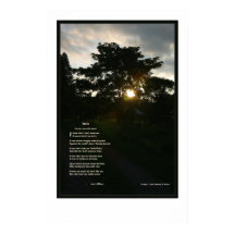 Joyce Kilmer Trees 24 x 36