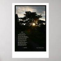 Joyce Kilmer Trees 24 x 36