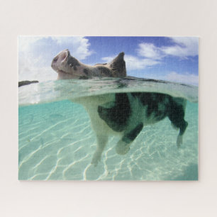 Joyeuse baignade de cochon avec le puzzle des pois
