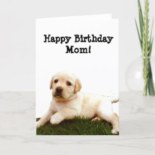 Joyeuse carte d'accueil pour chiot Labrador Birthd