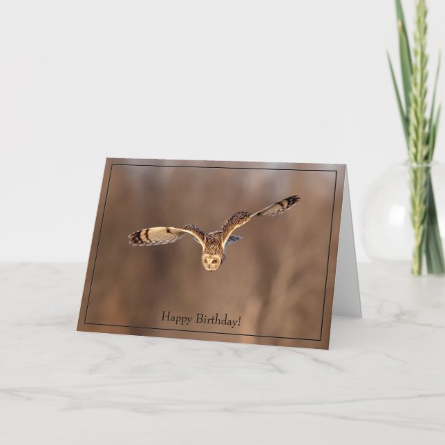 Joyeuse carte d'anniversaire hibou à oreilles cour (Devant)