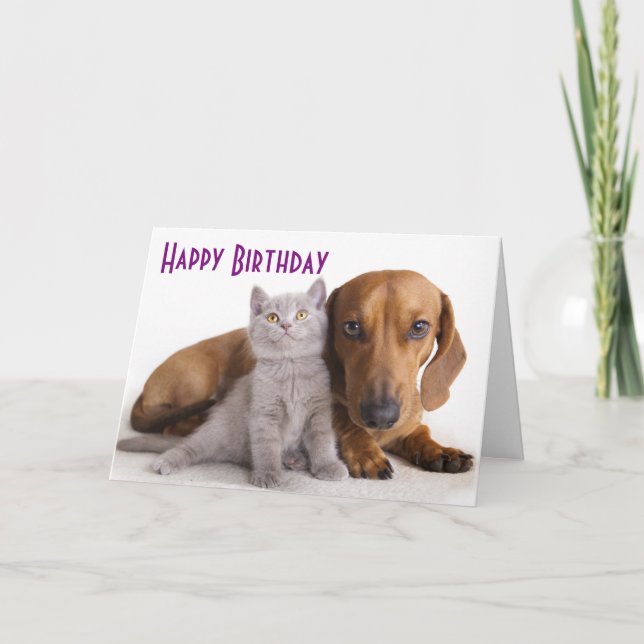 Joyeuse carte de Chien Chien Chien Chien Chien Chi (Devant)