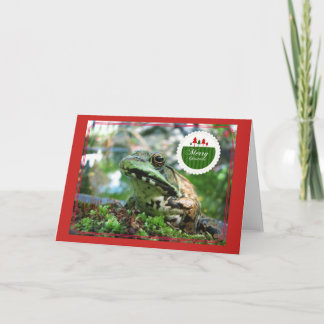 Joyeuse carte de grenouille de Noël