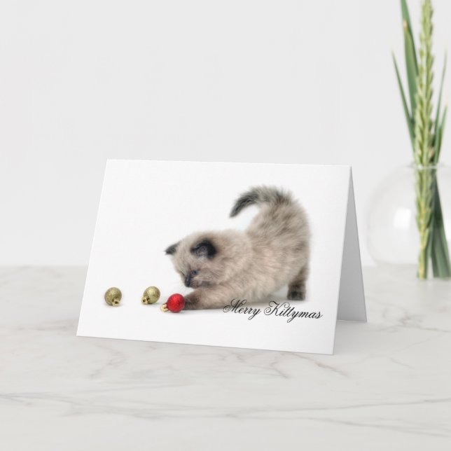 Joyeuse carte de Kittymas (Devant)