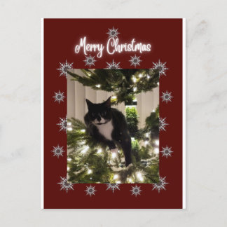 Joyeuse carte de Noël avec Tuxedo cat sur mon arbr