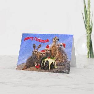 Joyeuse carte de Noël de Meerkats