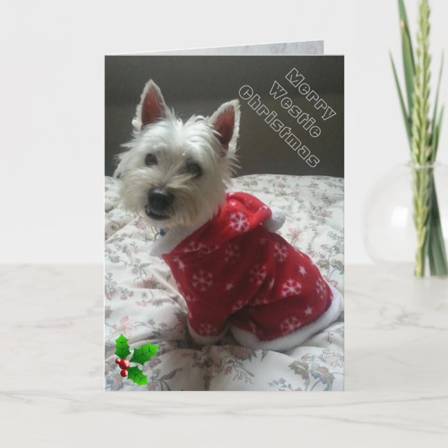 Joyeuse carte de Noël de Westie pour votre westie (Devant)