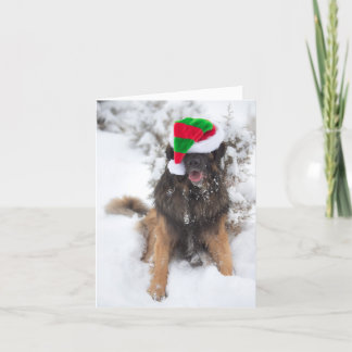 Joyeuse carte de Noël Merry Leonberger